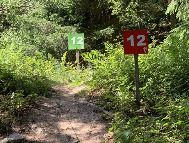 Jagdbogenparcours im Wald